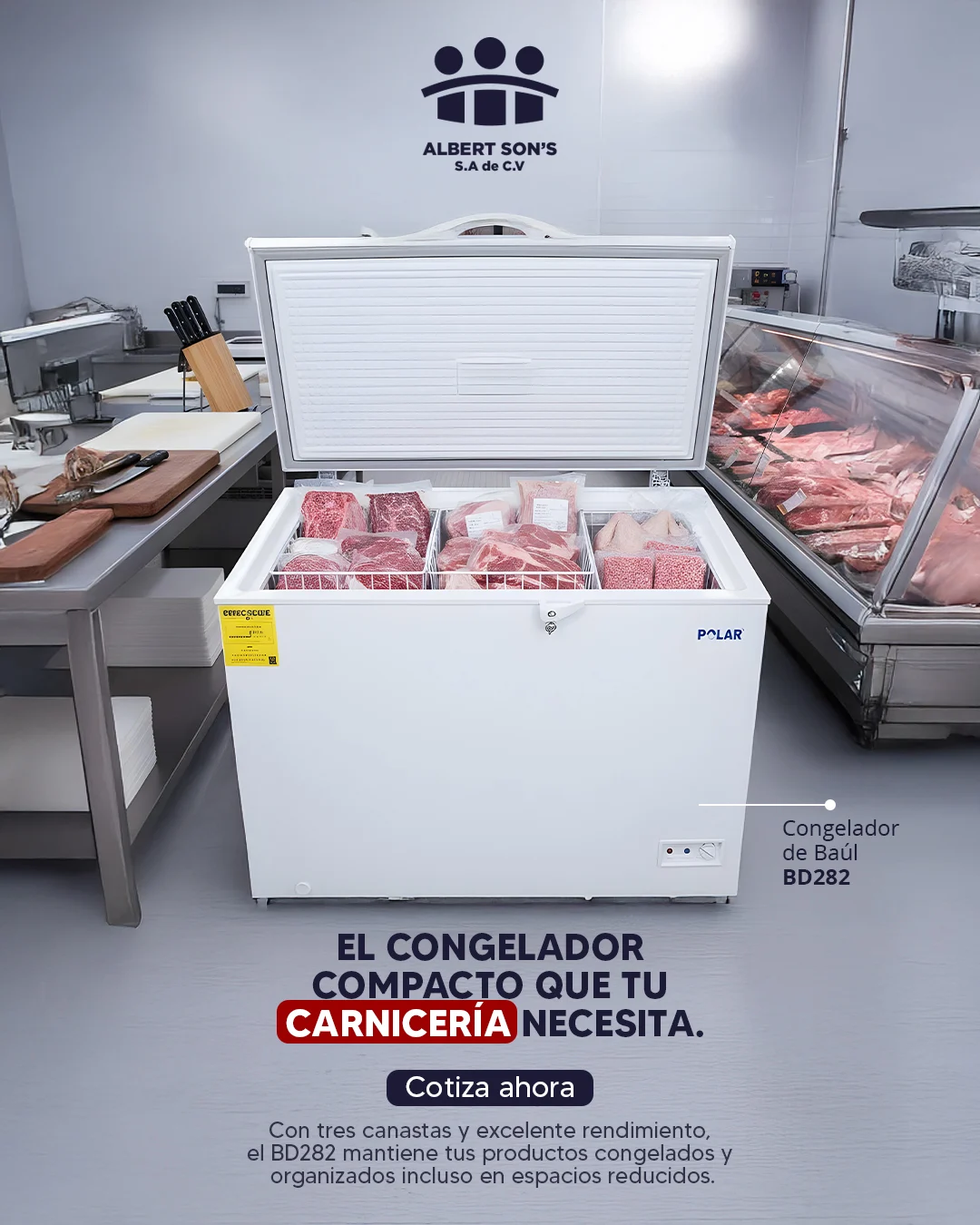 BD282 congelador para carnicería - Albert Sons El Salvador